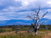 Park Narodowy Gros Morne